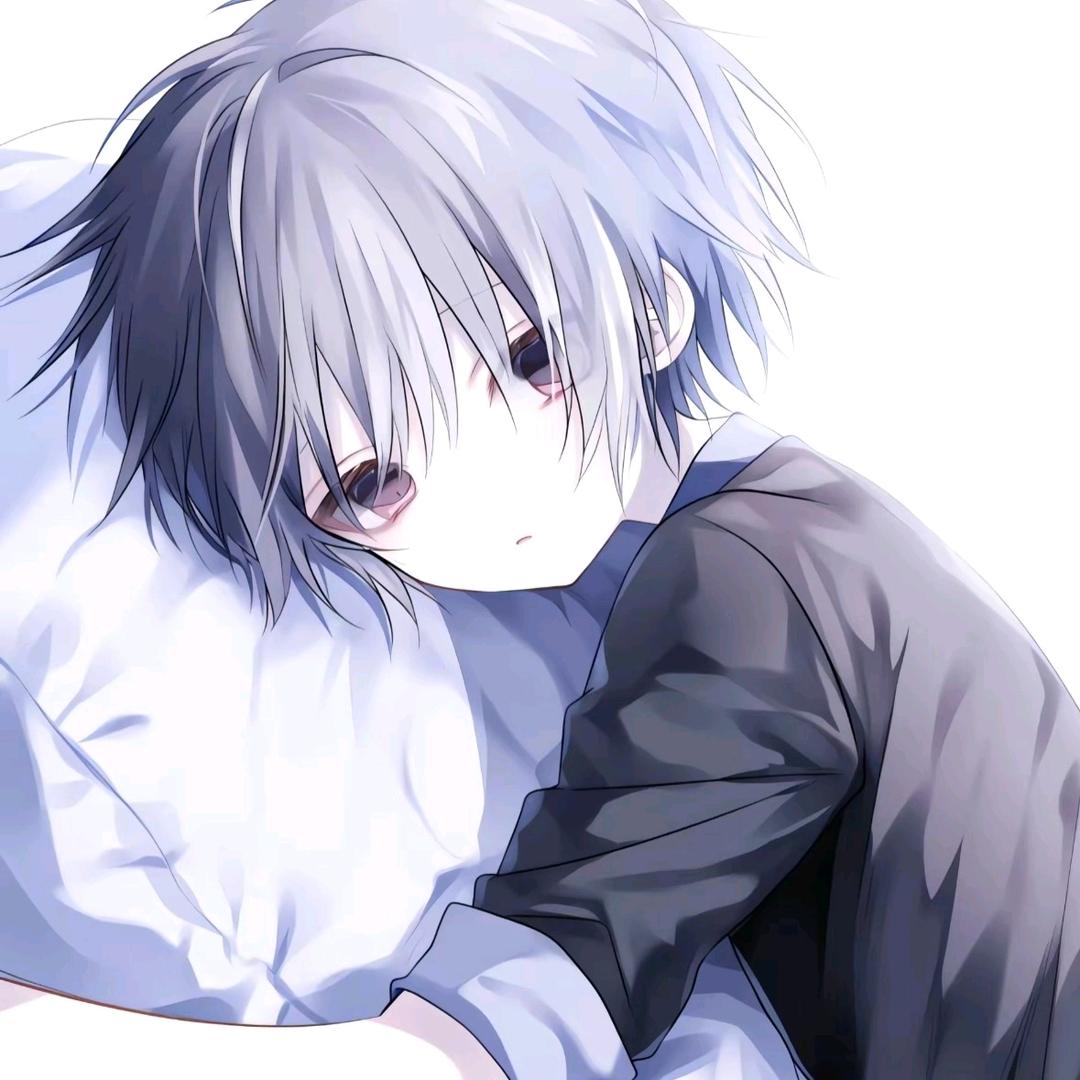 灰灰（国服露娜）