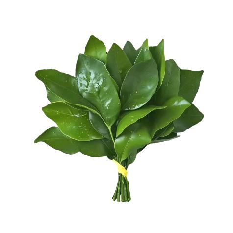 偶遇癞蛤蟆吐金币竟是财神爷想让我一夜暴富