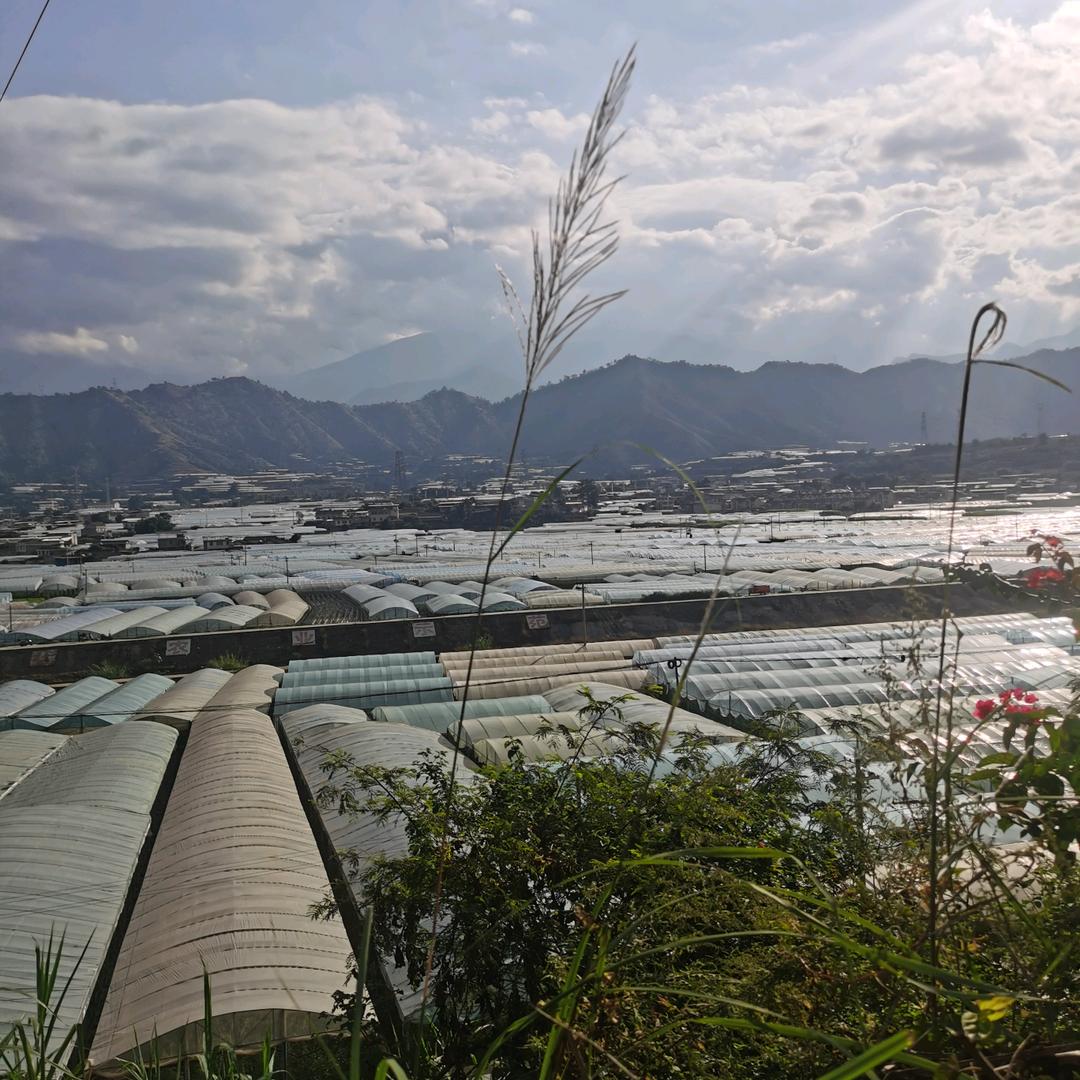宏达生物～李仲年