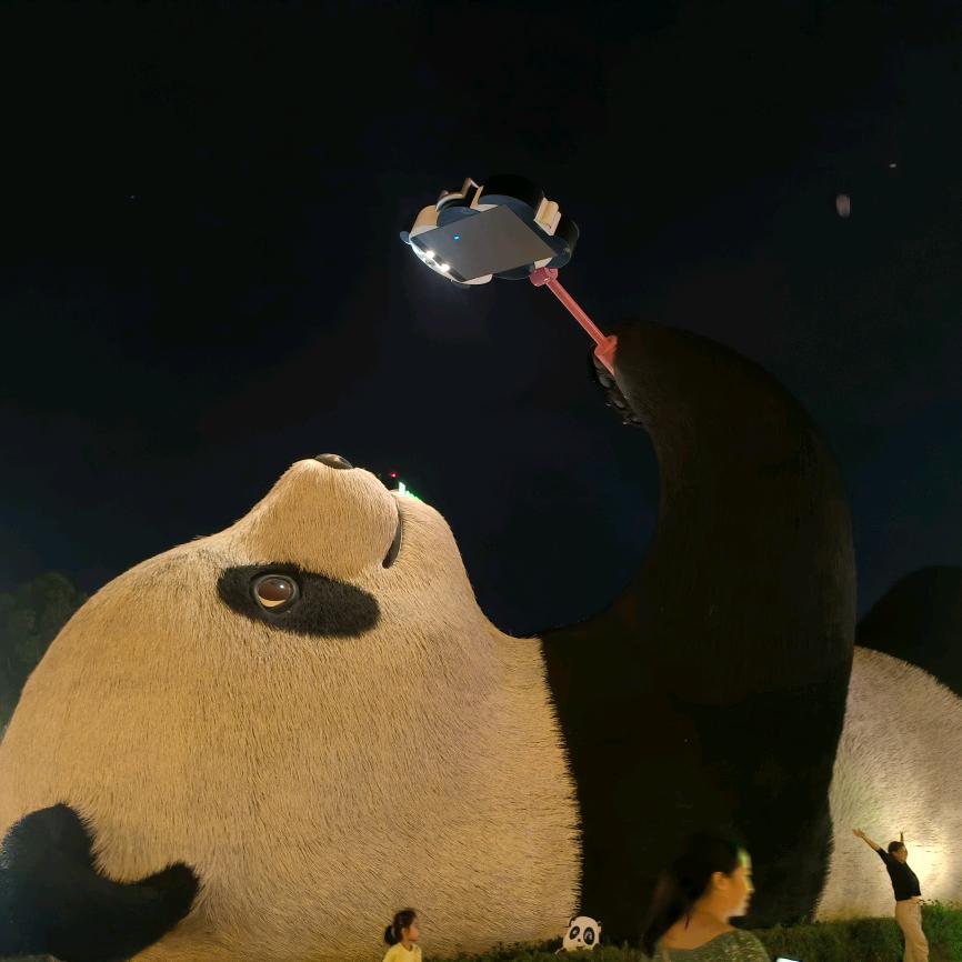 不吃香菜。。
