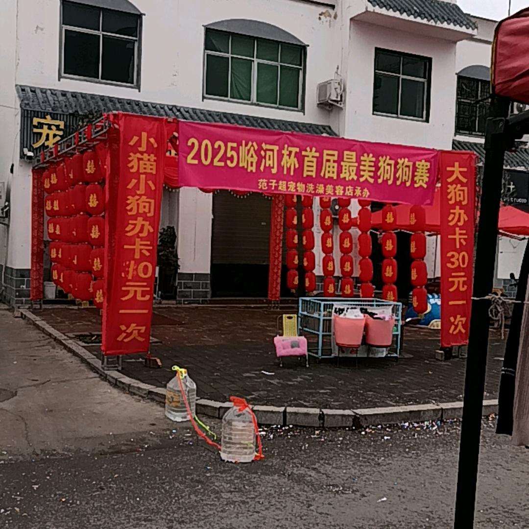 峪河范子超宠物洗澡美容寄养
