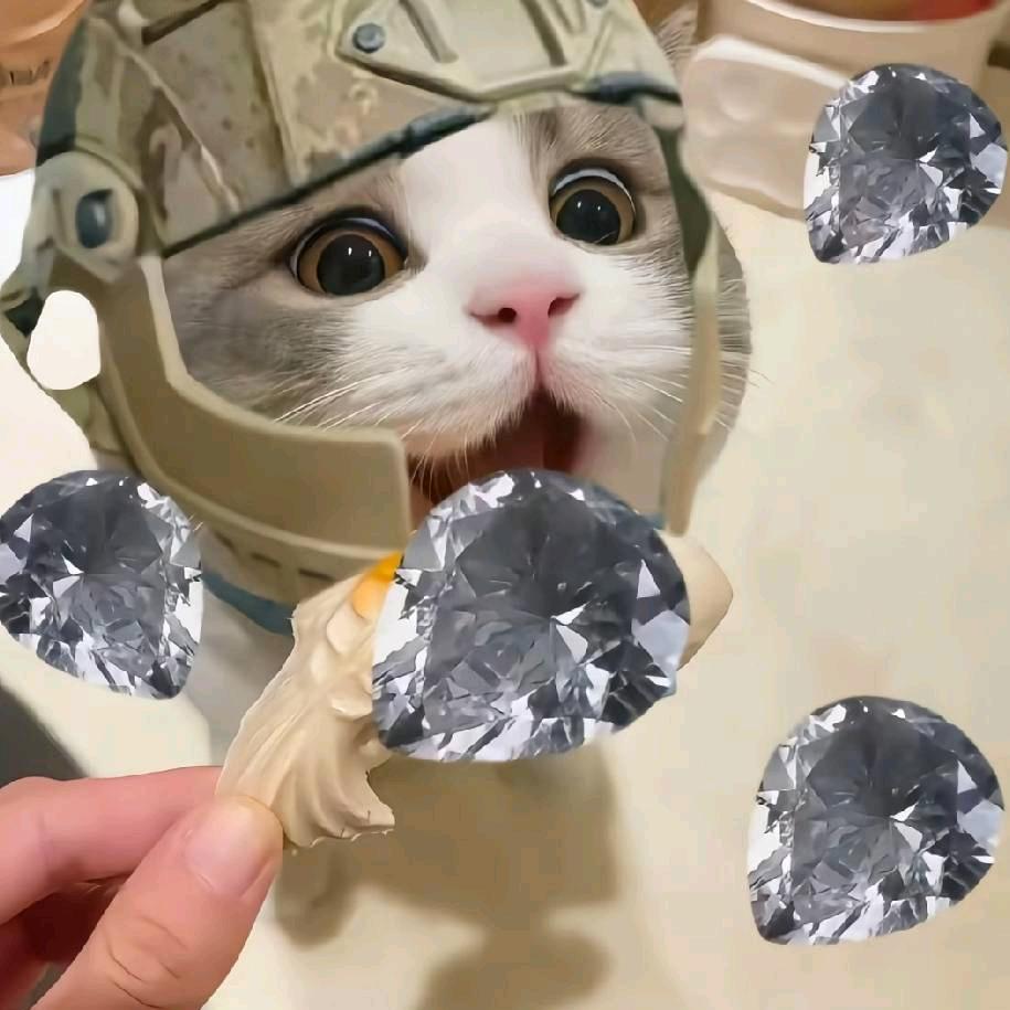 海苔（三角洲行动）