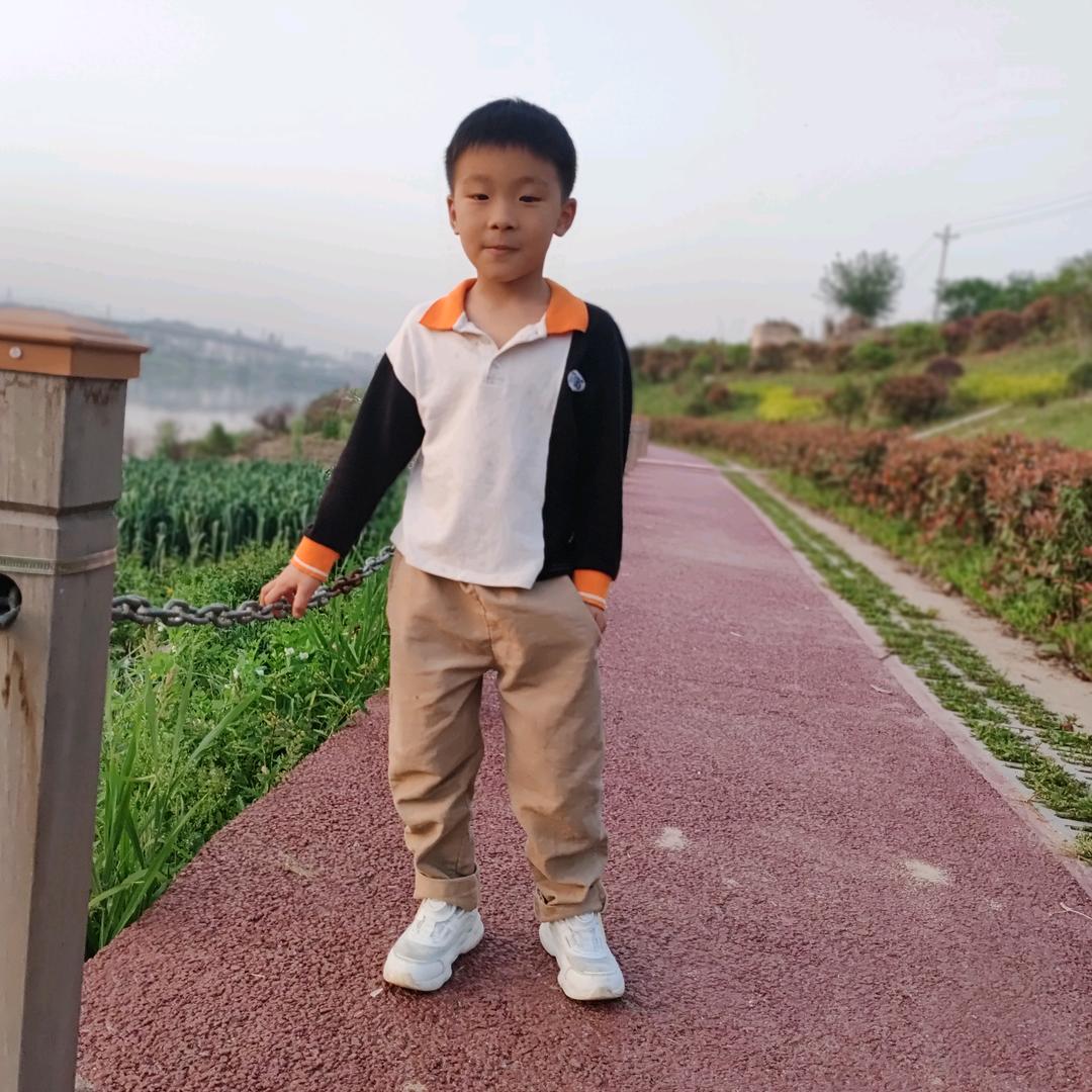 张二娃的小生活