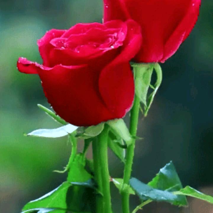 哇，啥啥，矿泉水