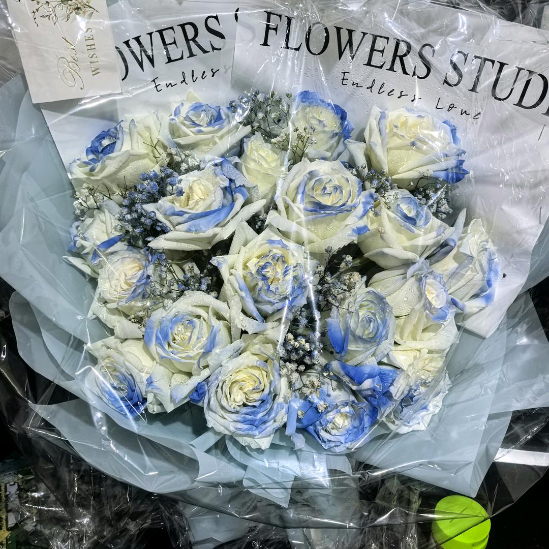 菊长