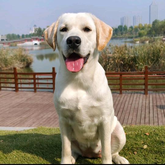 小白候方严选