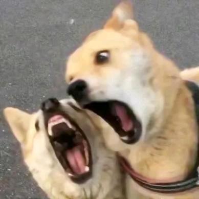 奋斗中的小王