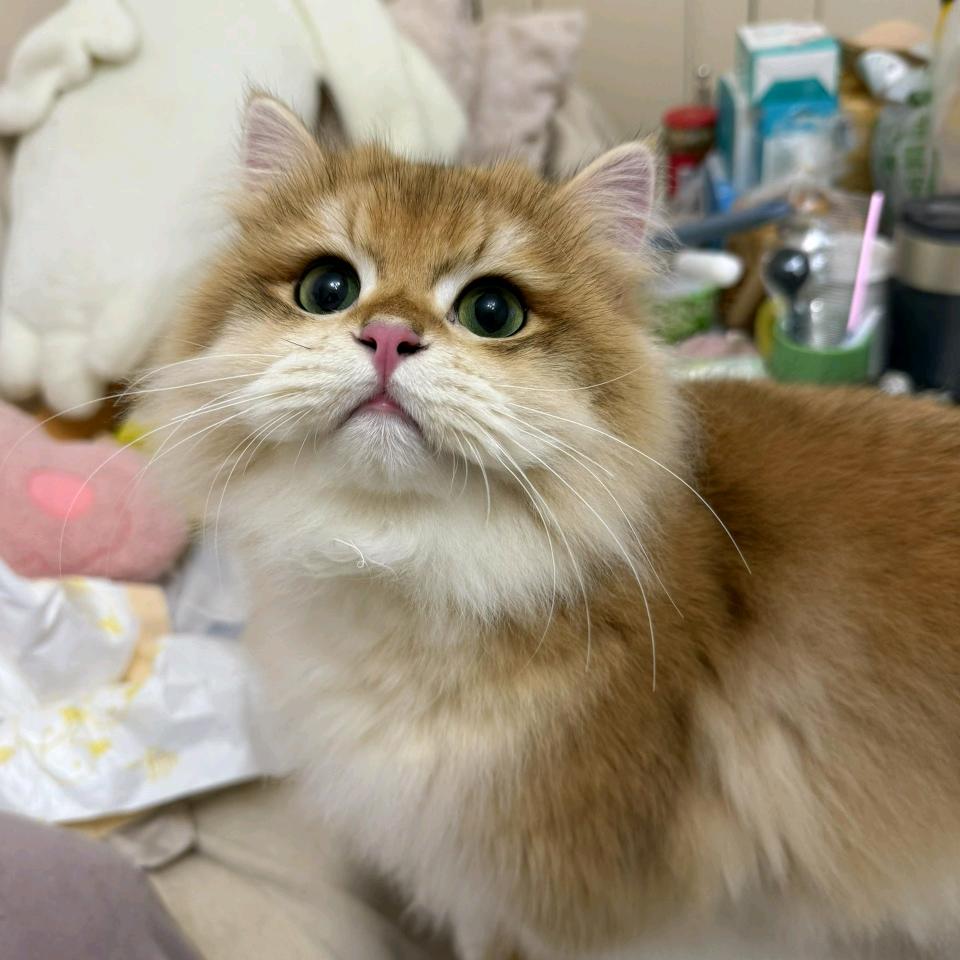 带刺的玫瑰🌹🌹🌹