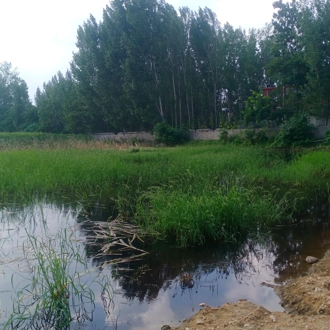 我爱大风和烈酒