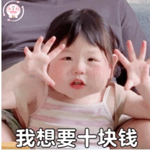 爱挖宝的卤蛋