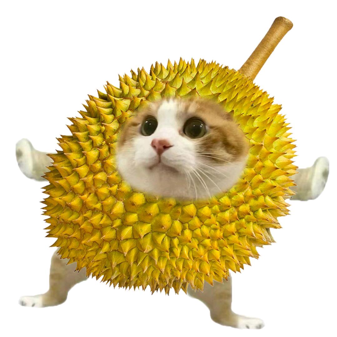 小泽