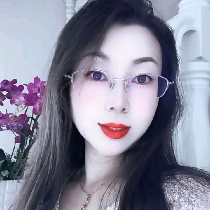 梦蝶