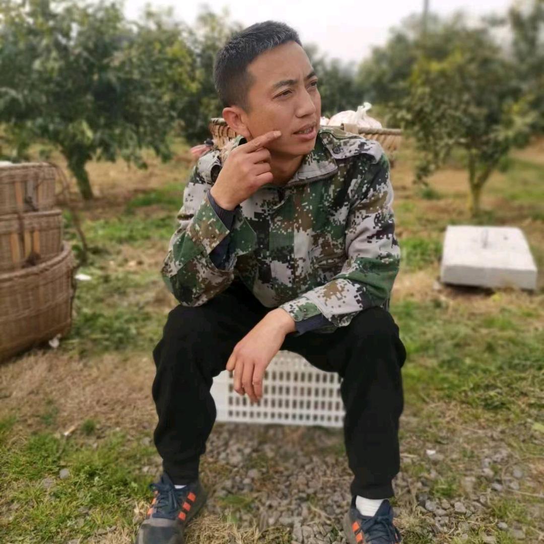 爱媛 耙耙柑产地直销