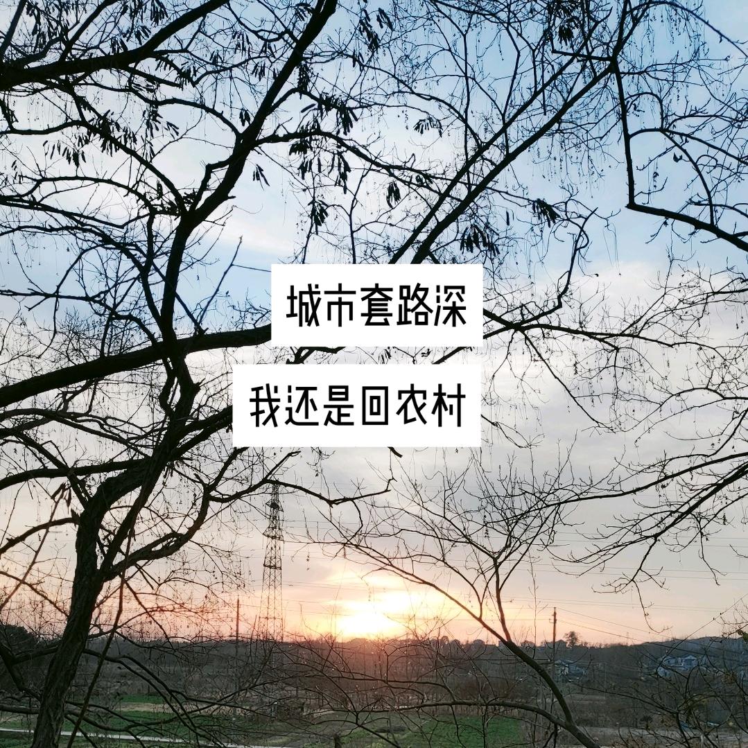 一生何求？