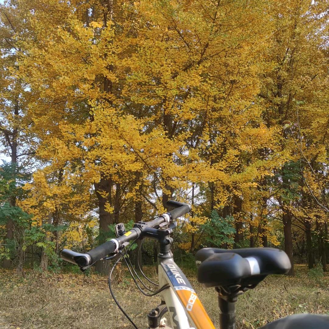 地机师傅你是干什么的