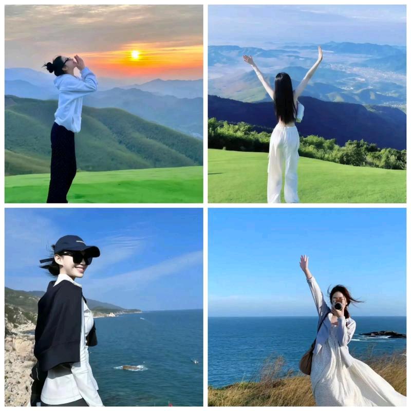 双马莲莲