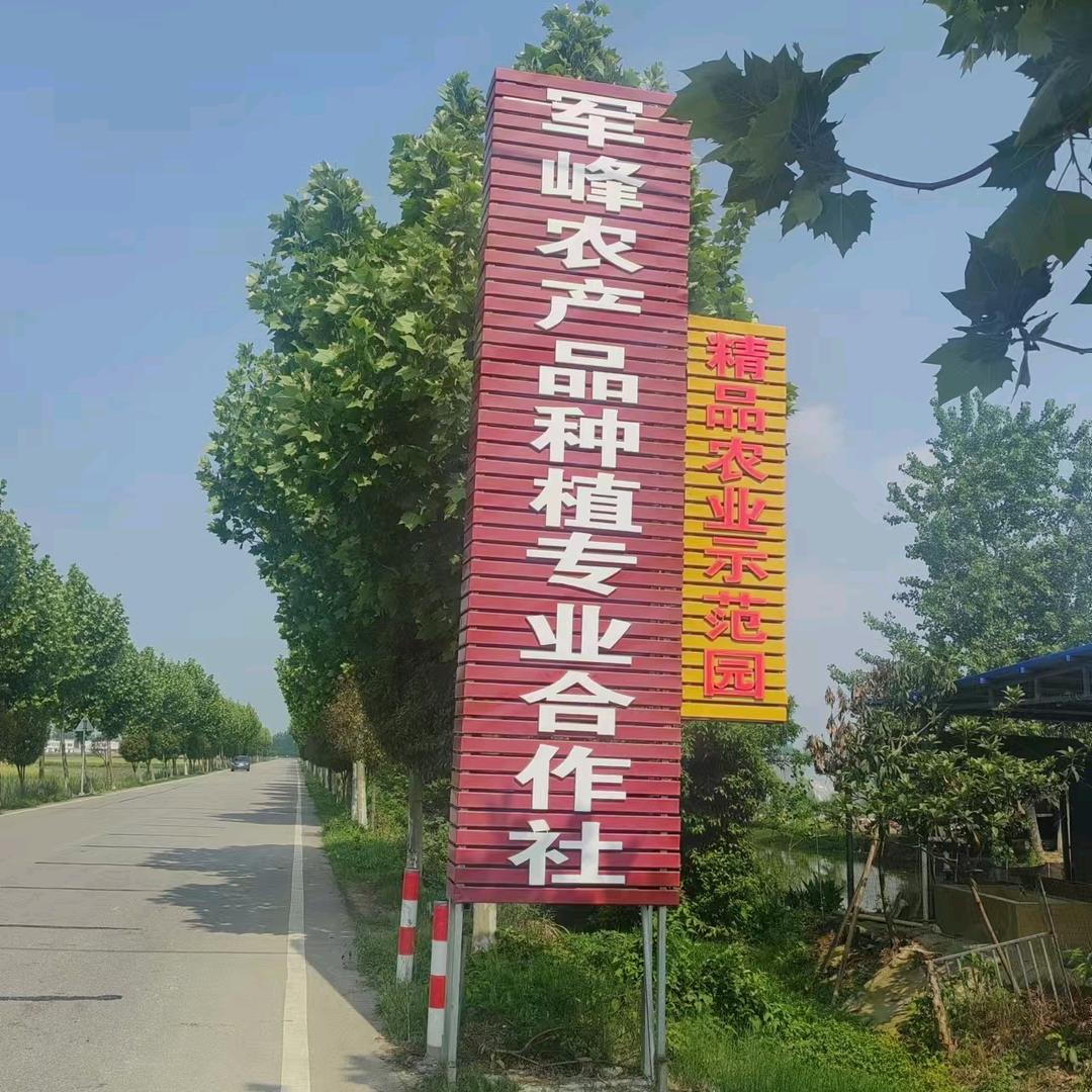 天门市麻洋镇军峰农产品种植专业合作社