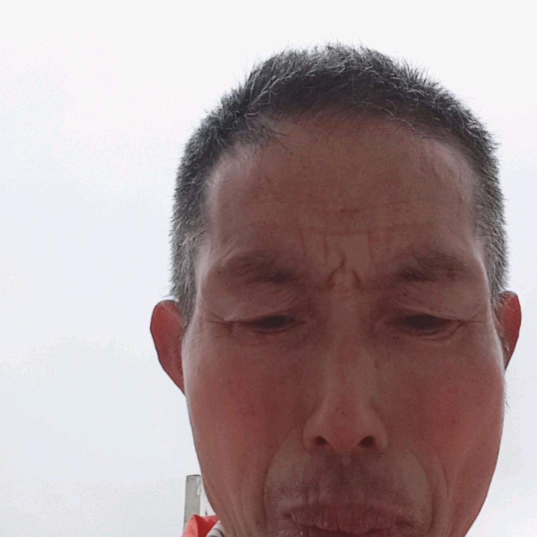 赵奇