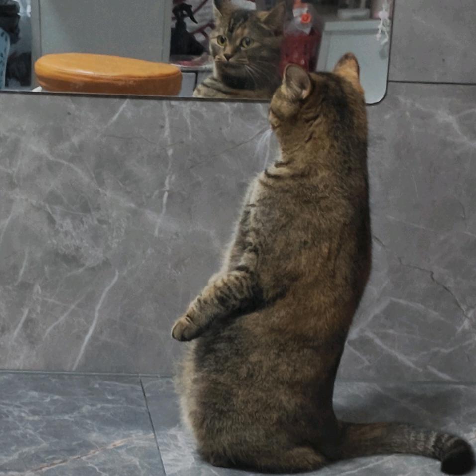 深红