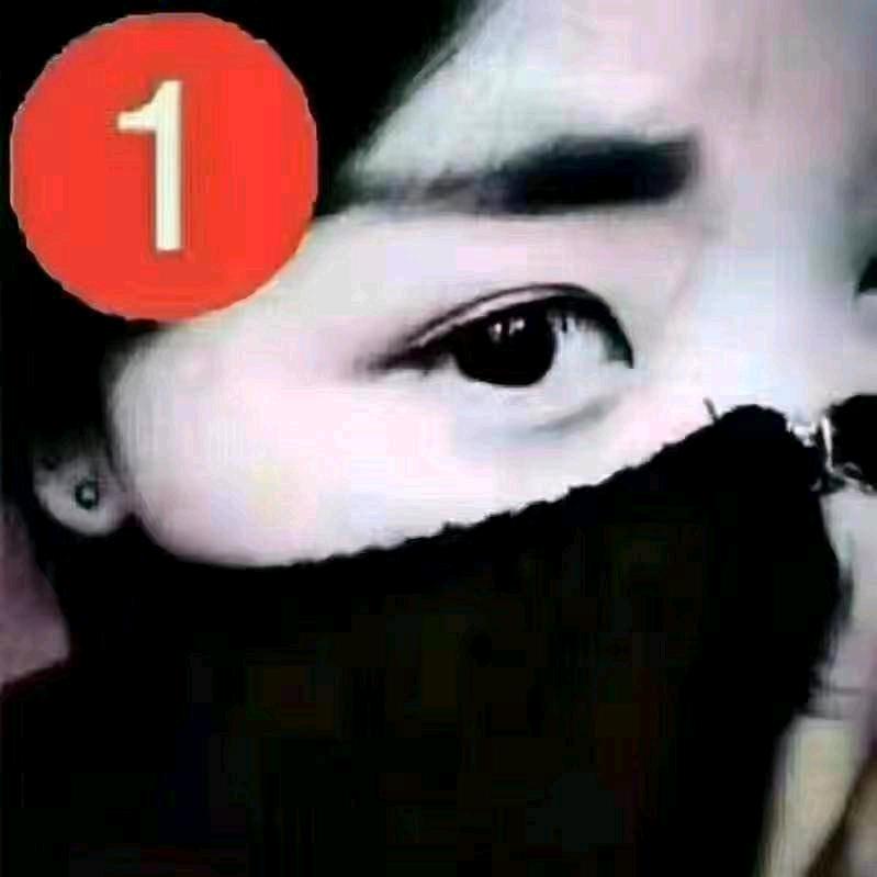 13761456