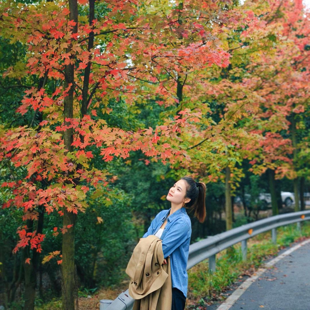 六月的雨🍀