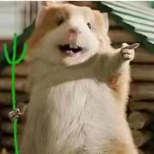 秃头城主猪刚鬣