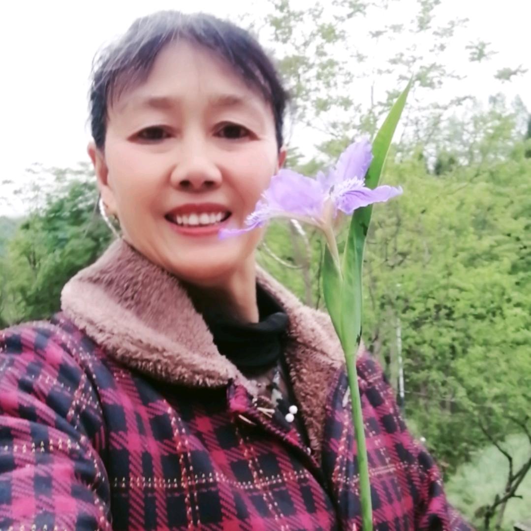 农村文子