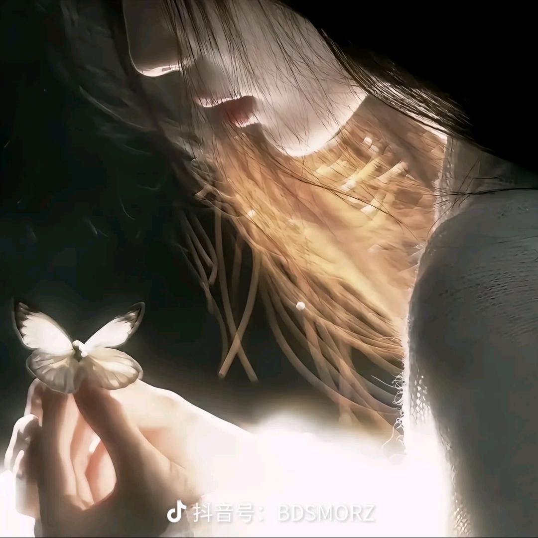 深情不及久伴💋厚爱无需多言