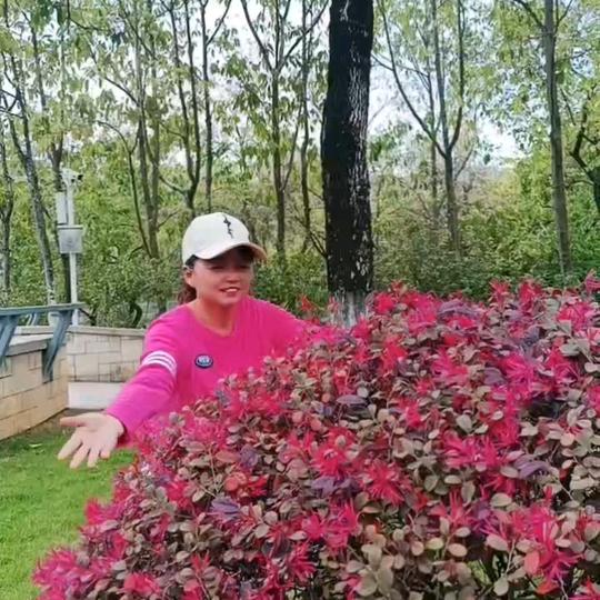 @@一切随缘，拒绝私聊