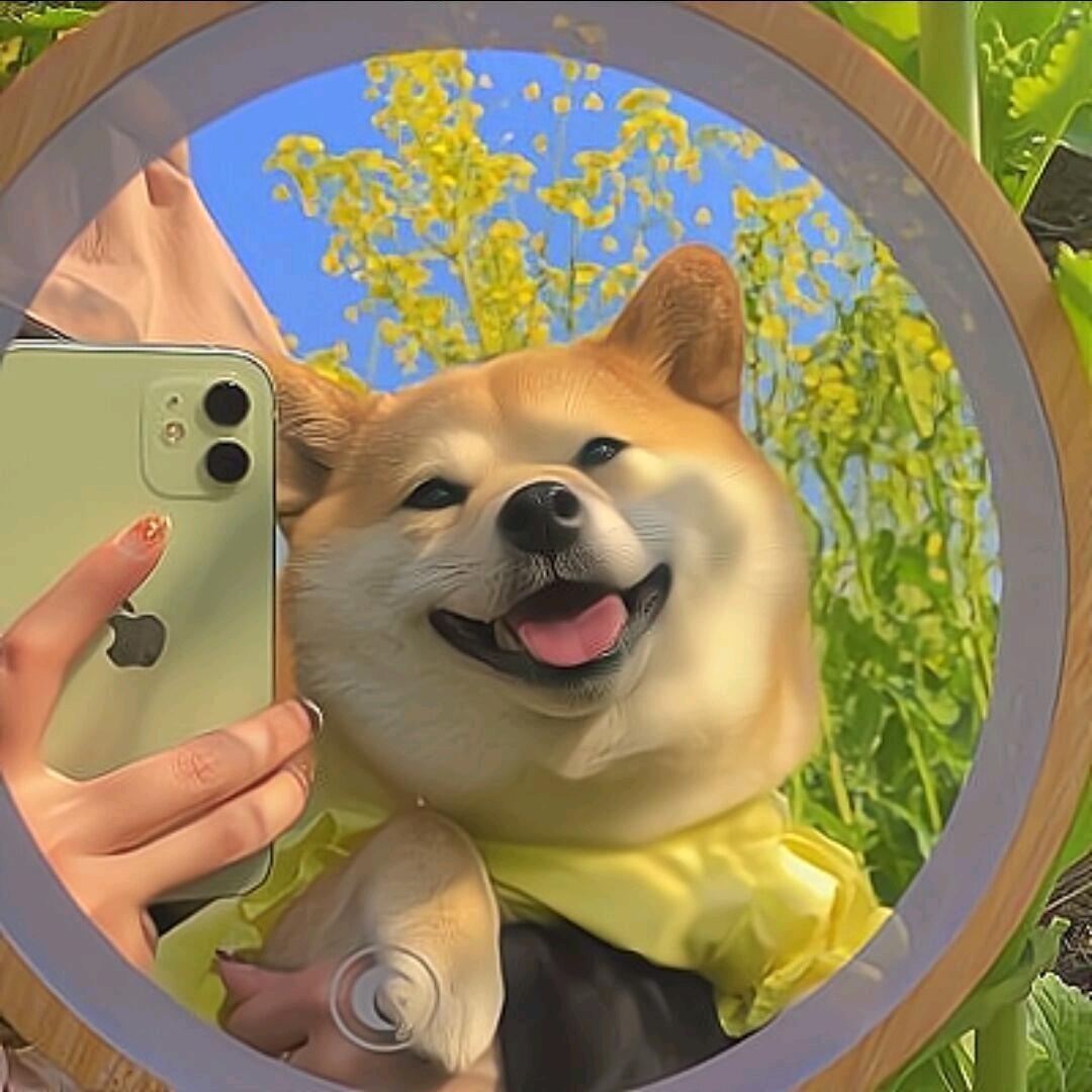 等风来