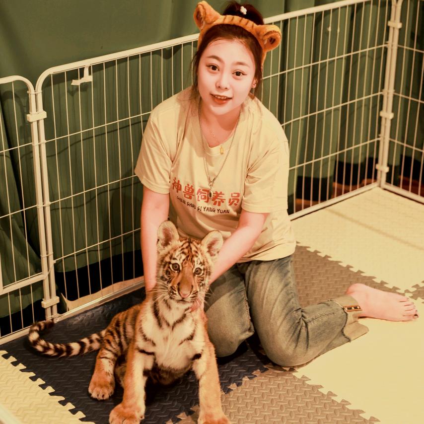 🐯虎妞儿墩墩（北京顺义虎乐园）