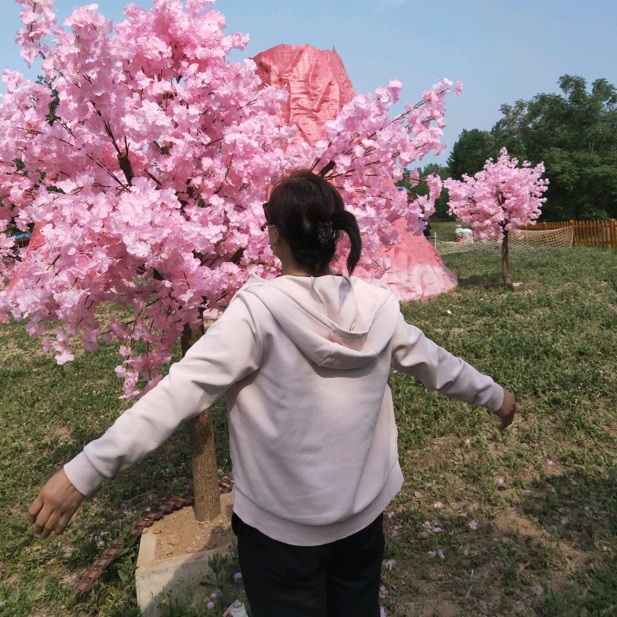 月嫂芹姐