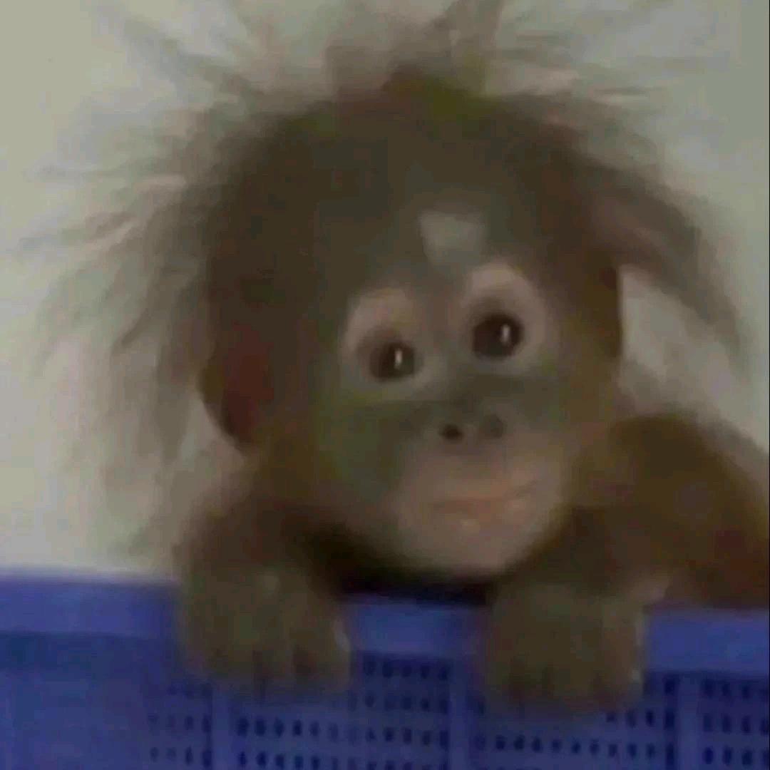 青春献给党🇨🇳