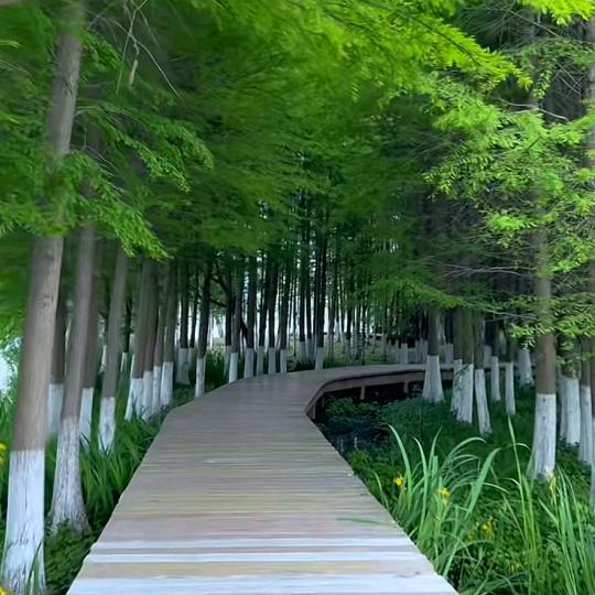 ℳঞᩚꦿ邹南💫闯北ꦿ࿐