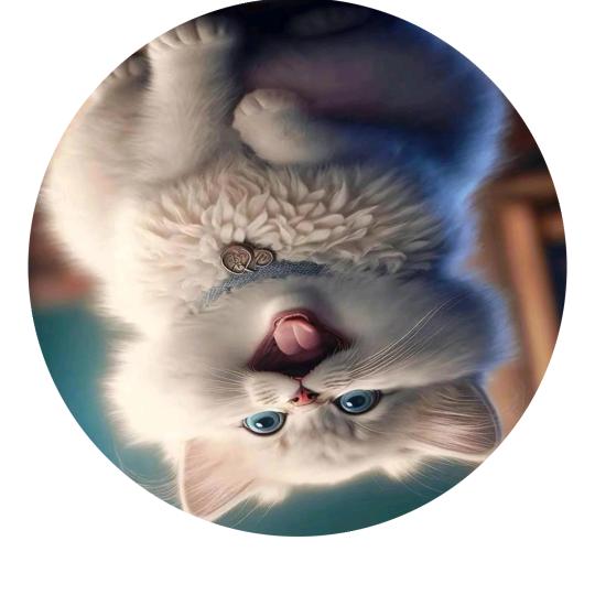 五台山东台看日出（禅）