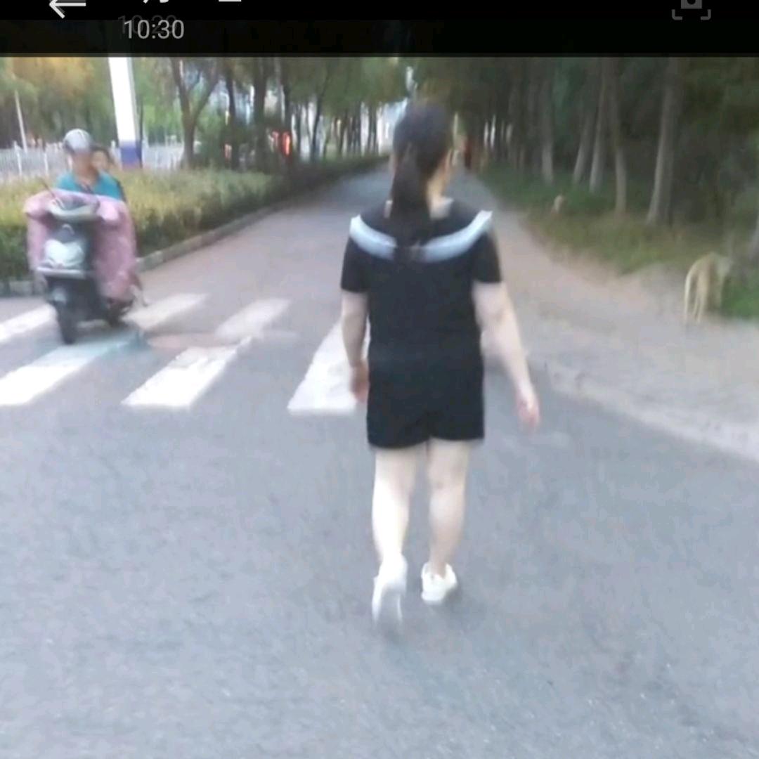 菊花茶