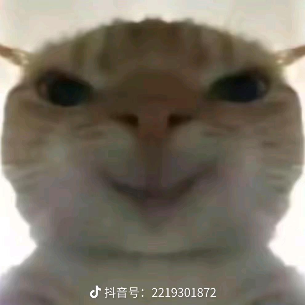 瑞