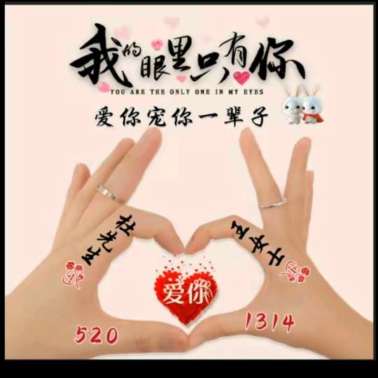 🌸九思🌸念安