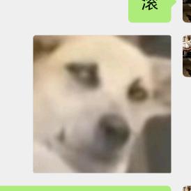 恭喜羊发财
