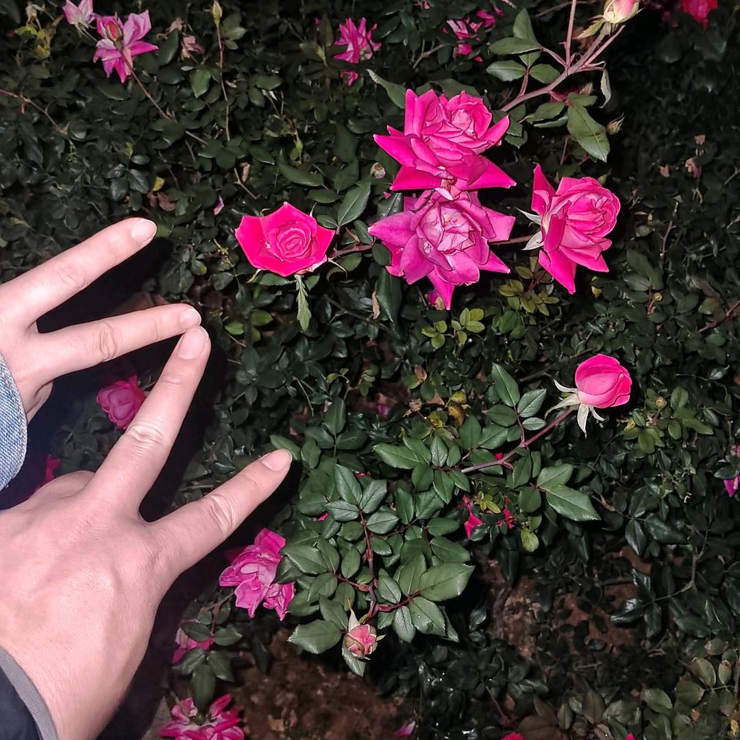 覃三爷✔vlog