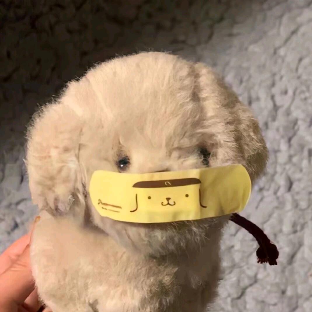 汪汪碎冰🧊