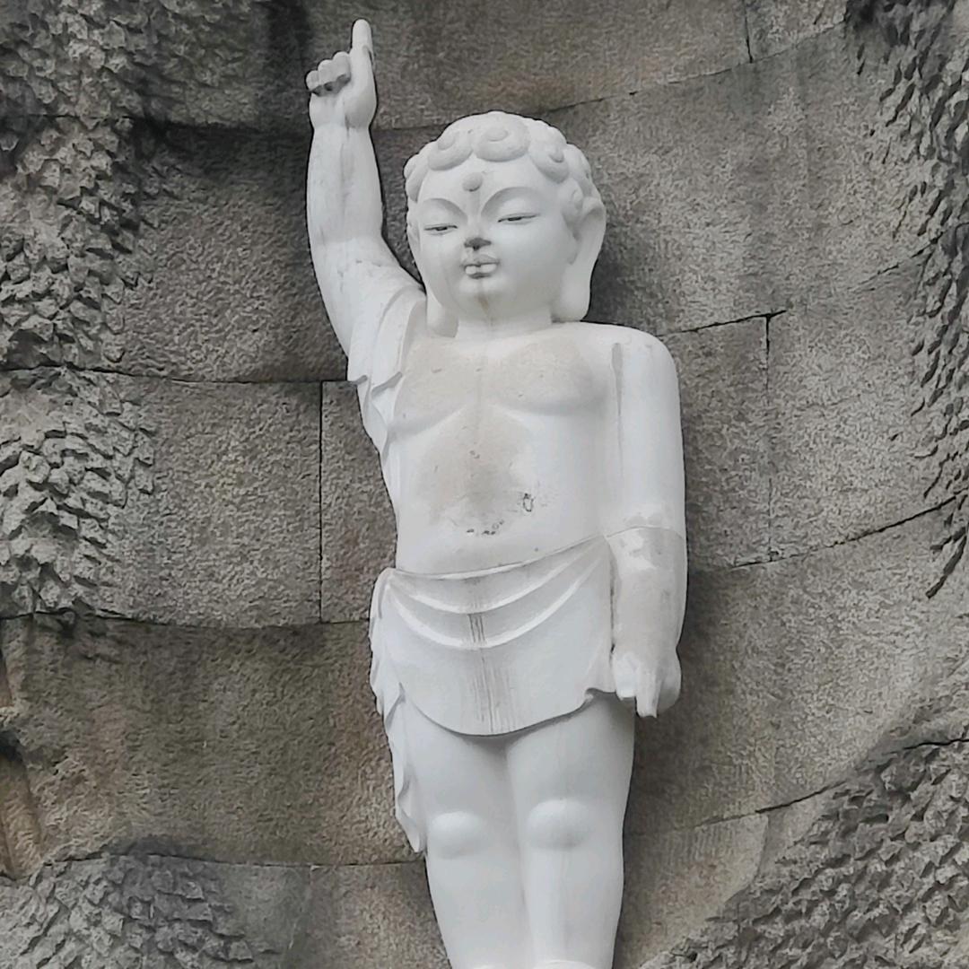沁园春