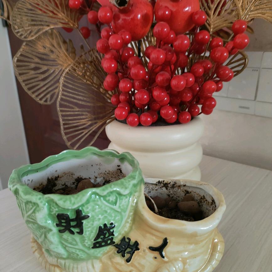 甜心爆爆
