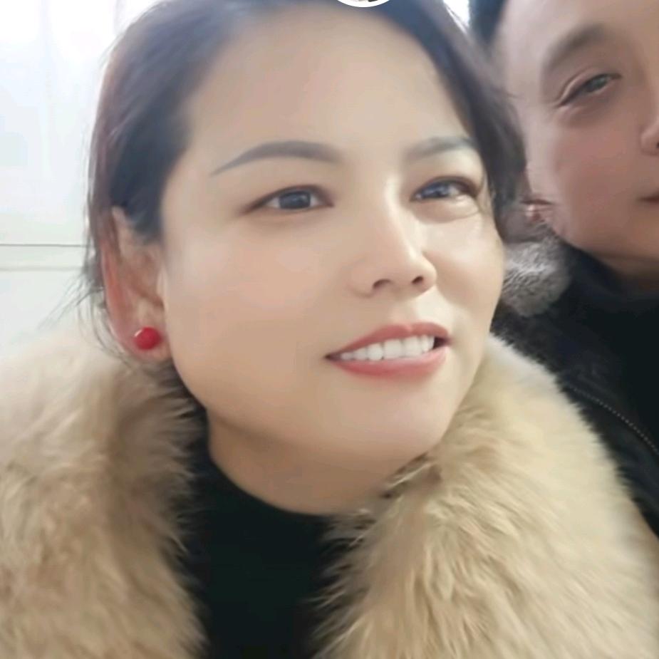 自由飞翔的燕子，