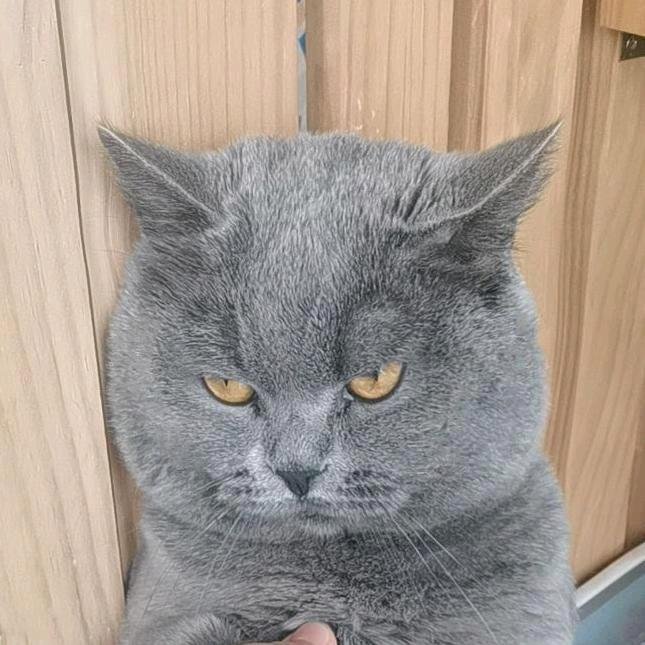 鸭王九月的配种花园