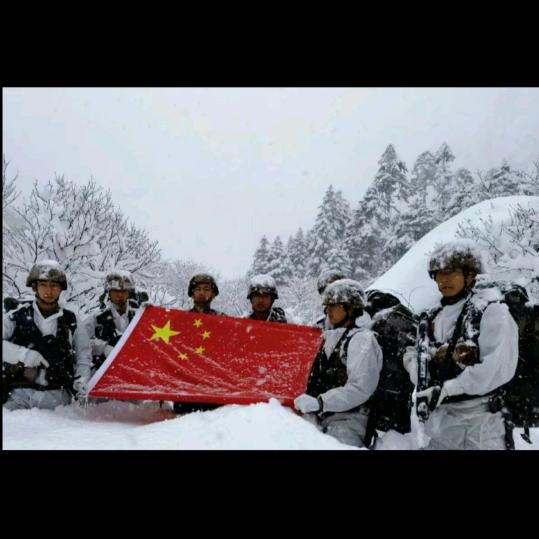 🇨🇳小蜜蜂