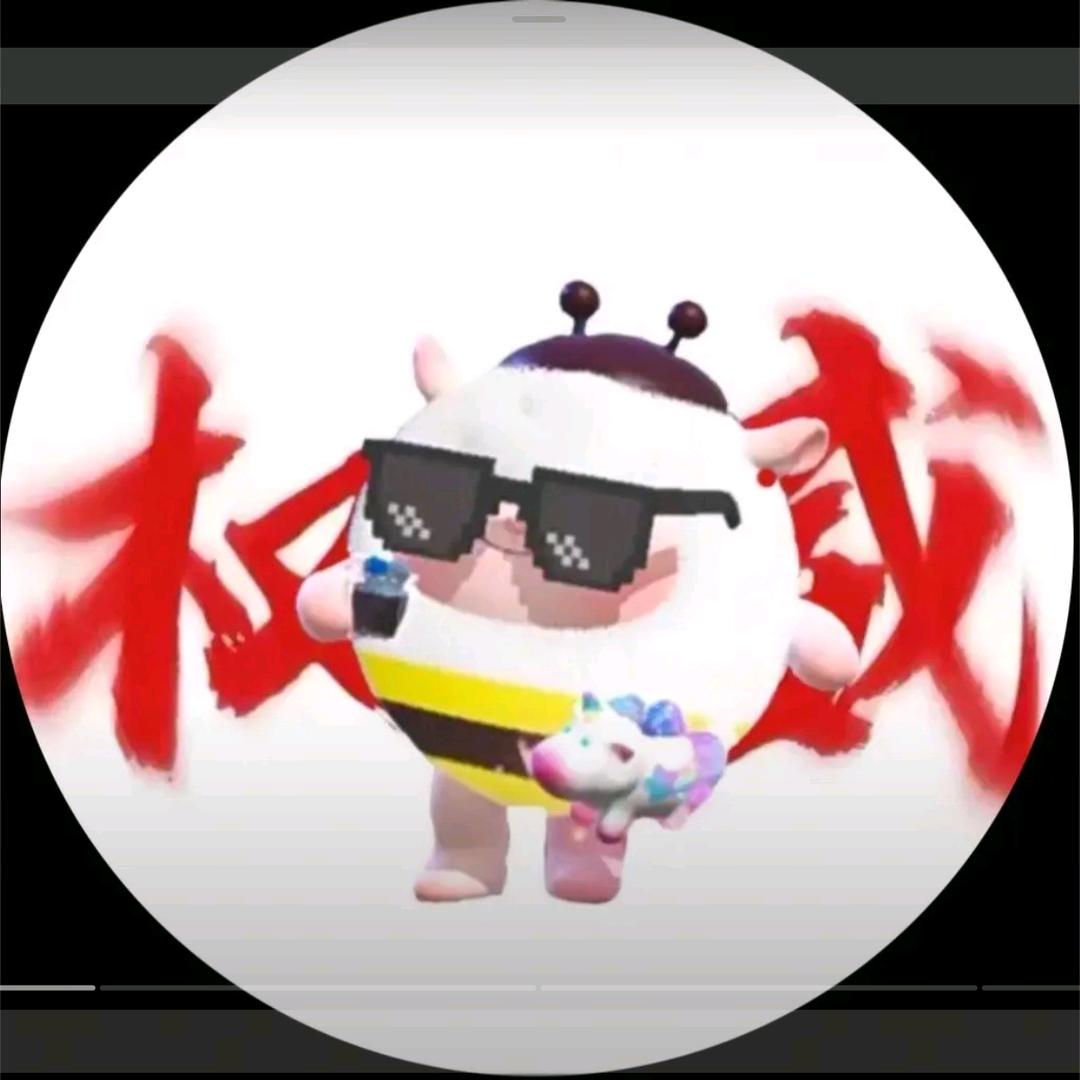 技术主播可可