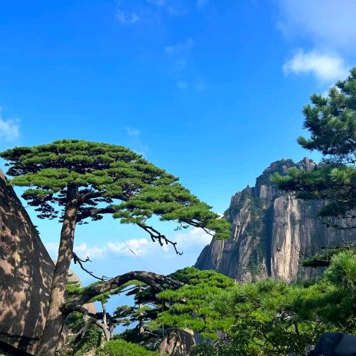 不凡甄选