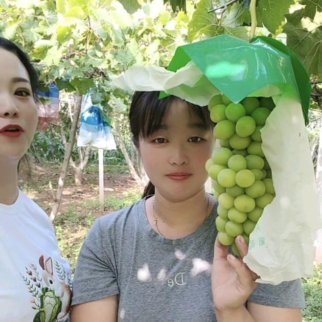 小李的优鲜果园