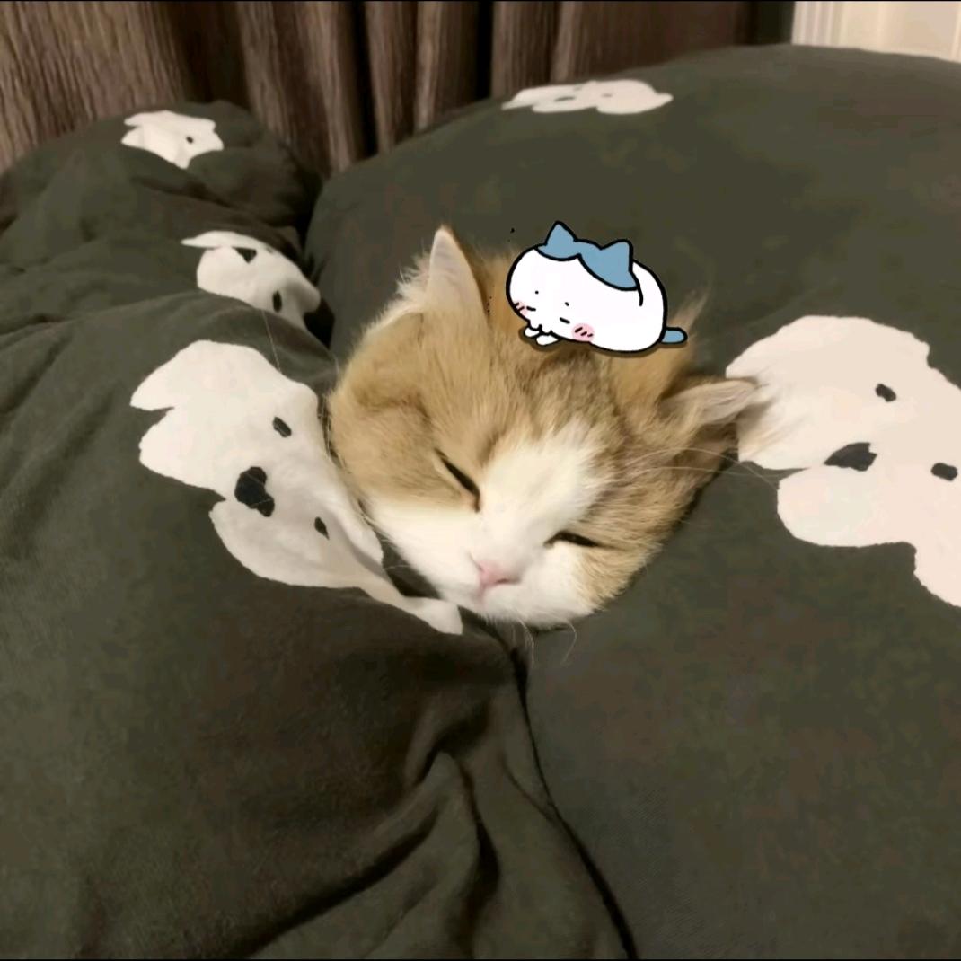 爱吃螺蛳粉